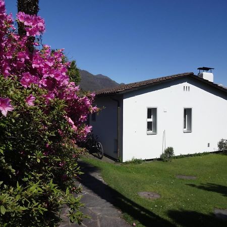 Residenza Paradiso Di Vacanze Minusio Eksteriør billede