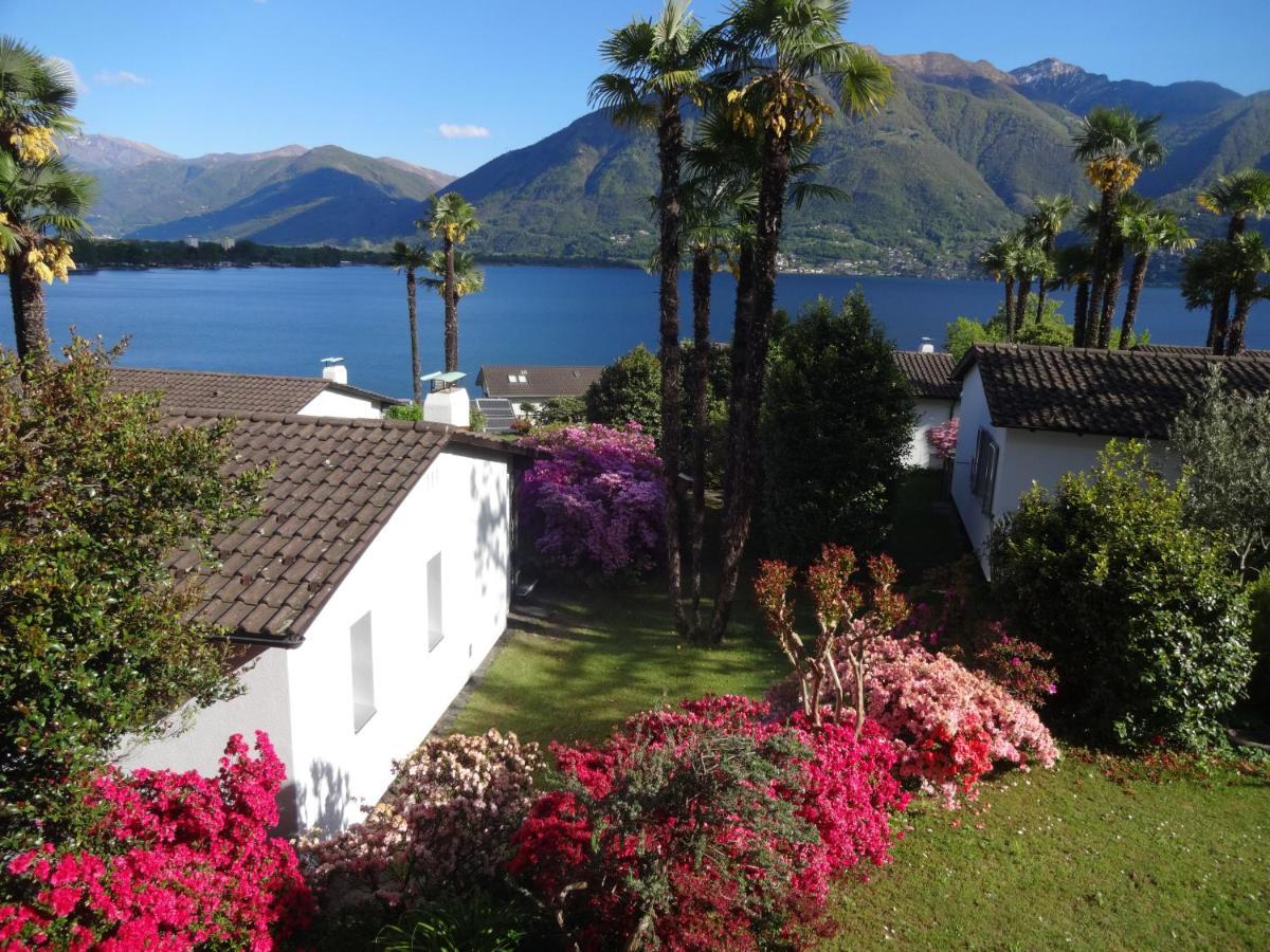 Residenza Paradiso Di Vacanze Minusio Eksteriør billede