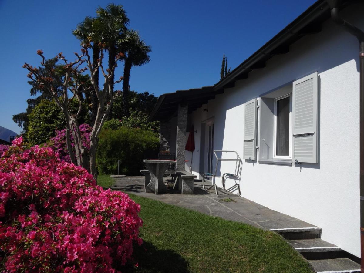 Residenza Paradiso Di Vacanze Minusio Eksteriør billede