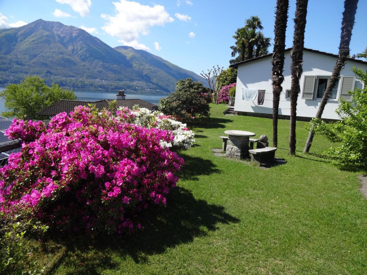 Residenza Paradiso Di Vacanze Minusio Eksteriør billede