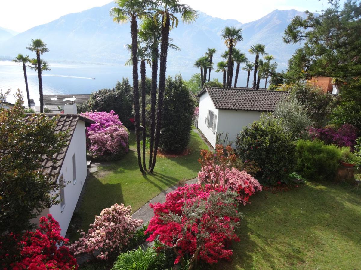 Residenza Paradiso Di Vacanze Minusio Eksteriør billede