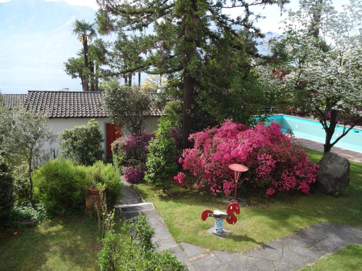 Residenza Paradiso Di Vacanze Minusio Eksteriør billede