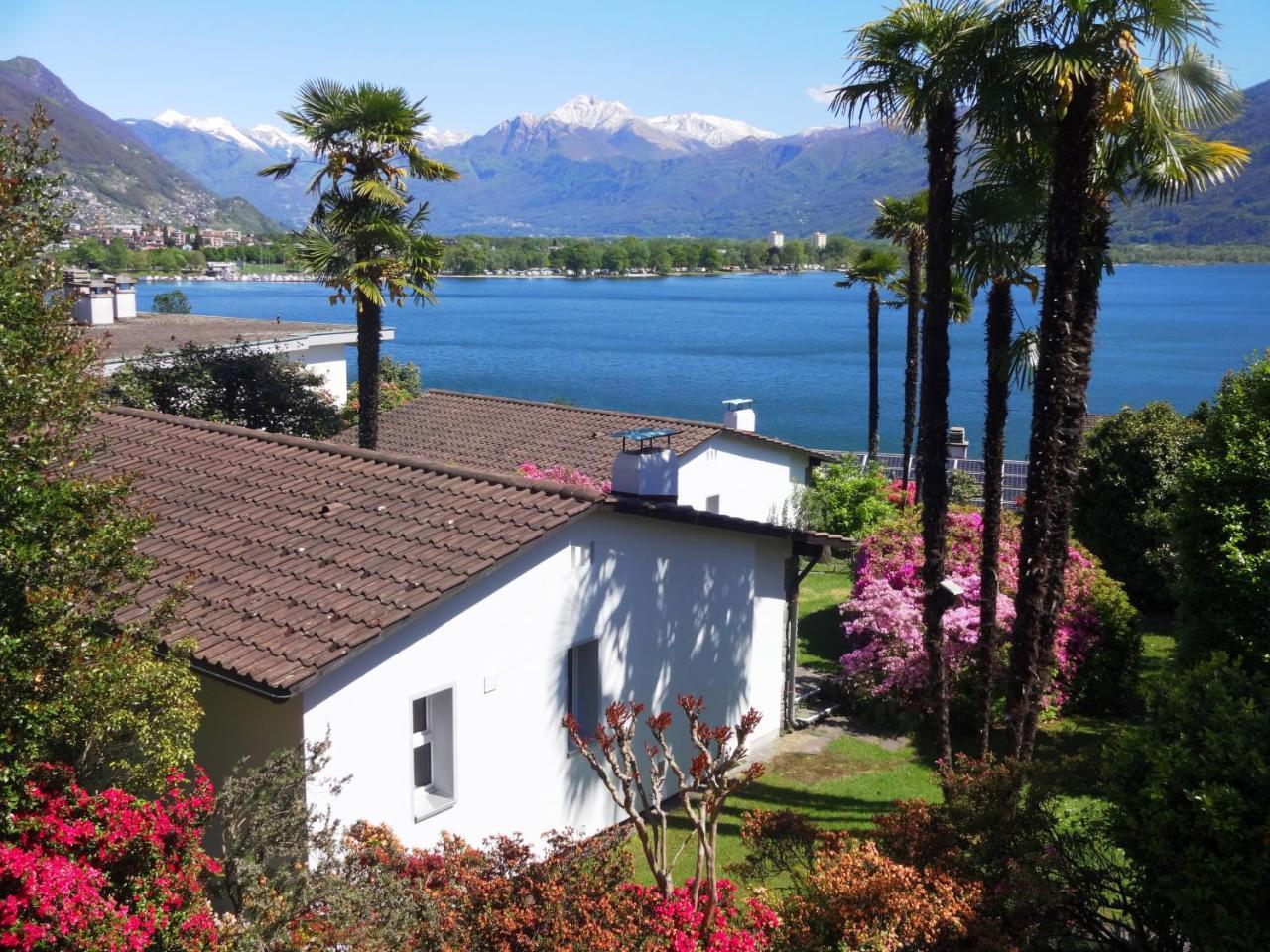 Residenza Paradiso Di Vacanze Minusio Eksteriør billede