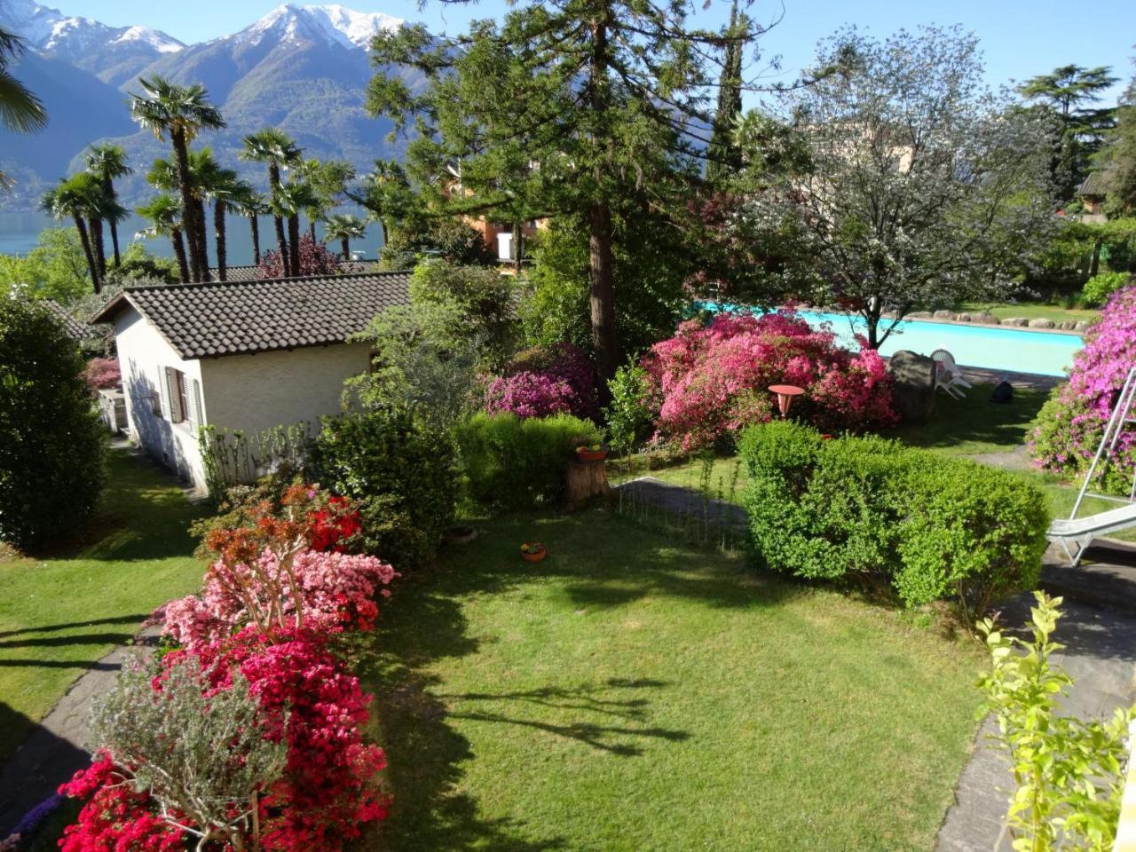 Residenza Paradiso Di Vacanze Minusio Eksteriør billede