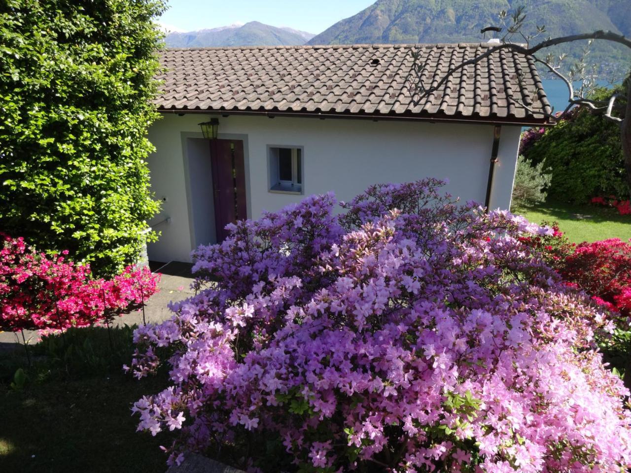 Residenza Paradiso Di Vacanze Minusio Eksteriør billede